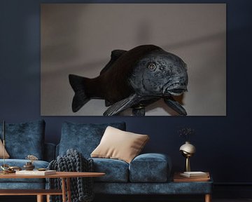 carp by gerardus nuijten