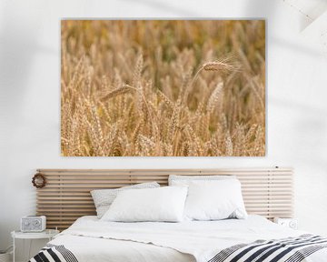 Grain, natural beauty... by Ans Bastiaanssen