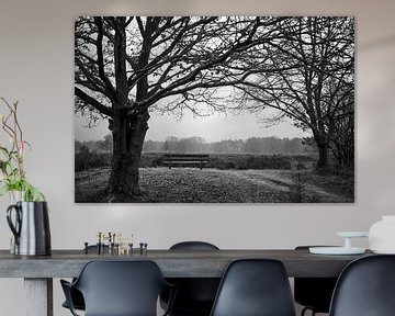 Bankje met uitzicht tussen de bomen