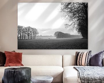 Landscape with trees and fog in black and white by Meike de Regt