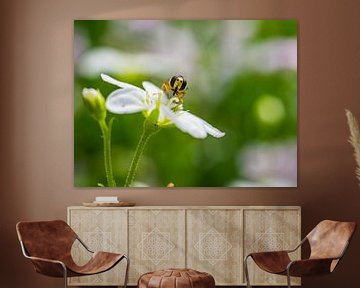 Hoverfly On Stone Break by Martijn Wit