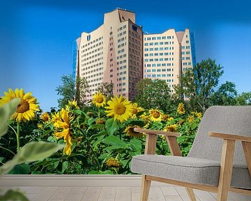 Bloeiende zonnebloemen voor het Gasunie hoofdkantoor in Groningen