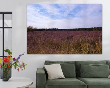 luneburger heide 1 van Groothuizen Foto Art