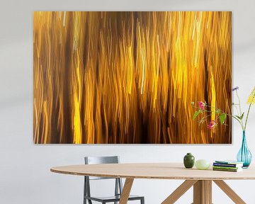Gouden regen, abstract van Yanuschka | Noordwijk Fotografie