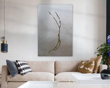 Dead branch reflective in water by Werner Lerooy