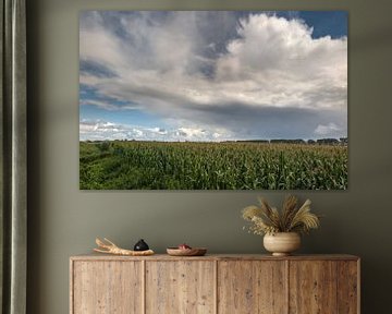 Wolken über Maisfelder van Rolf Pötsch