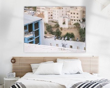 Duiven in Marokkaanse stad | reisfotografie van Marika Huisman fotografie