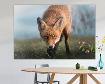 Die Augen eines Fuchses von Jolanda Aalbers