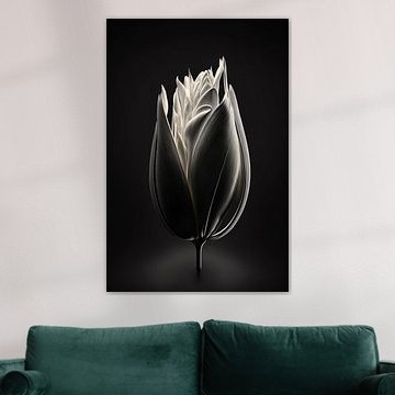 Een mooie witte tulp onder een spotlight. van KRAB