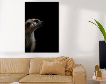 A meerkat (Suricata Suricatta ) by Leny Silina Helmig