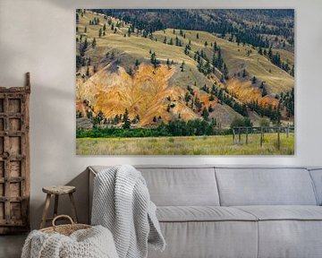 De Painted Hills bij Clinton in British Columbia van Roland Brack