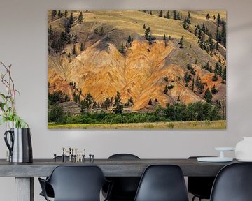 De Painted Hills bij Clinton in British Columbia van Roland Brack