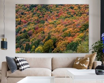 Bomen in herfstkleuren van Marjolijn Barten