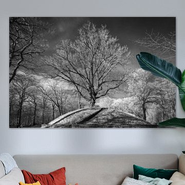 De Kattenberg, Heiloo