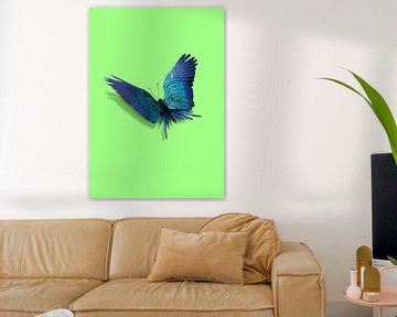 Parrofly by 360brain