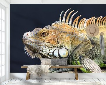 Green iguana portrait by Dennis van de Water