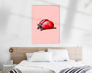 Ladybug Turtle by 360brain