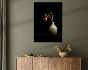 Tulipes néerlandaises dans un vase blanc sur Misty Melodies