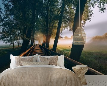 Pappelsteig by Faszination Fürth