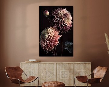 Dahlias against black background