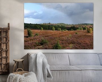 Le paysage de la lande de Lunebourg à Wilseder Berg sur Karina Baumgart