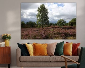 Die Landschaft der Lüneburger Heide am Wilseder Berg von Karina Baumgart