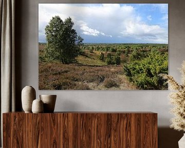 Die Landschaft der Lüneburger Heide am Wilseder Berg von Karina Baumgart