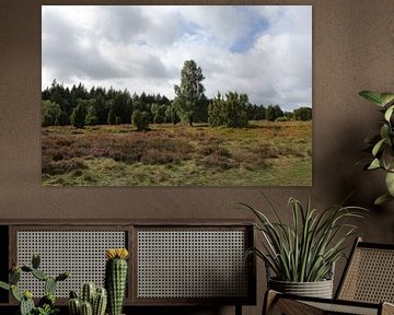 Die Landschaft der Lüneburger Heide am Wilseder Berg von Karina Baumgart