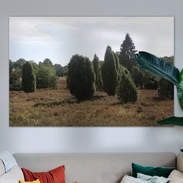 Die Landschaft der Lüneburger Heide am Wilseder Berg