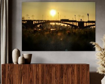 Un lever de soleil à Mayence, avec le pont Theodor-Heuss en arrière-plan sur Tim Zentgraf