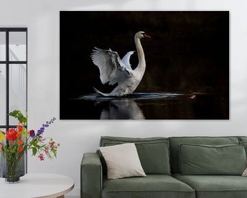 Swan by Frank Smedts