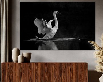 Swan by Frank Smedts