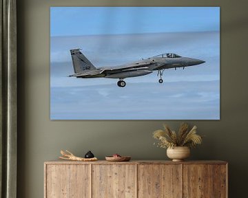 Florida Air National Guard McDonnell Douglas F-15C Eagle. by Jaap van den Berg