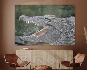 tanden by Hans Swarttouw