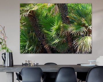 Groene palmbomen van Liesbeth Govers voor OmdeWest.com