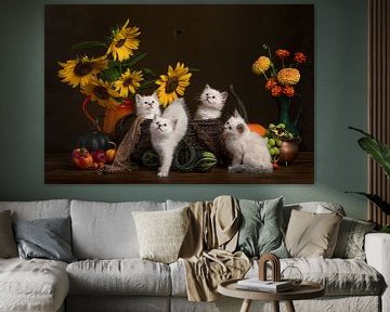 Augustus. Een stilleven met kittens, bloemen en pompoenen. van Elles Rijsdijk