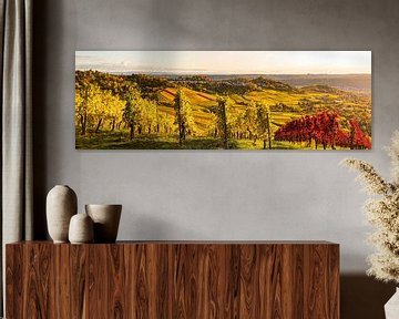 Panorama vineyards in Stuttgart in autumn by Werner Dieterich