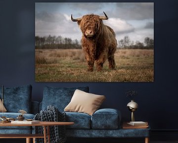 Imposante Schotse hooglander stier van KB Design & Photography (Karen Brouwer)