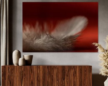 Kleine Feder auf rotem Hintergrund von Irene Ruysch