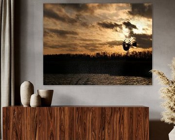 Goldenes Licht im Durksjanpolder von Mindert Dusselaar