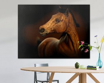 Portret van een paard