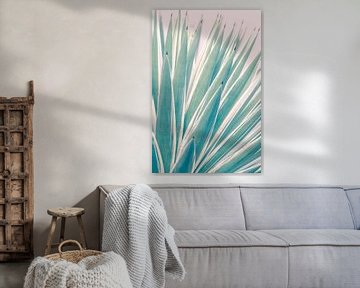 Stylish agave plant in pastel colours