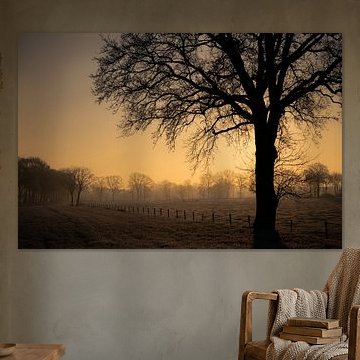 Magische zonsopgang op een koude ochtend in februari