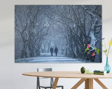 Wandelen door de sneeuw tussen oude bomen van Moetwil en van Dijk - Fotografie