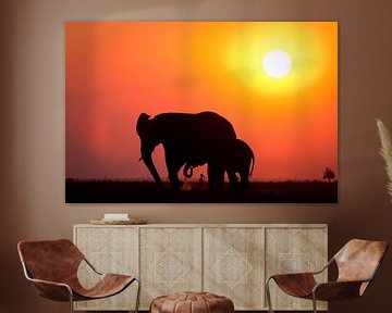 Zonsondergang met olifant en vogel van Remco Siero
