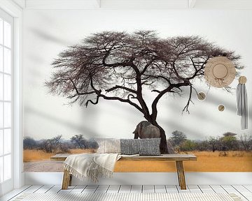 Elephant has an itch by Remco Siero