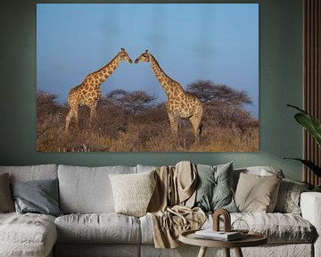 Kissing giraffes by Remco Siero