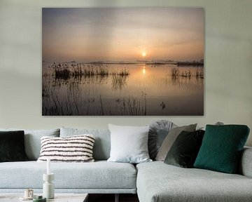mornings by Bart Liesenborgs