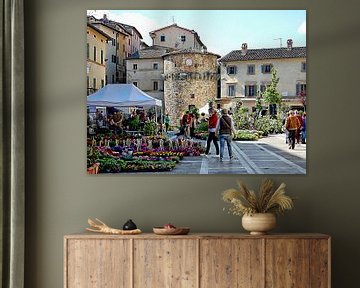 Flower and Plant Festival Cetona