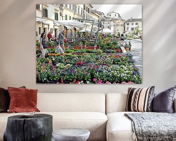 Annual Flower Market Cetona Tuscany